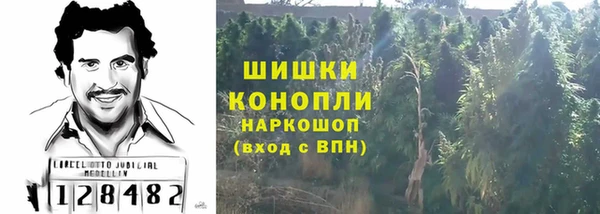 тгк Бронницы