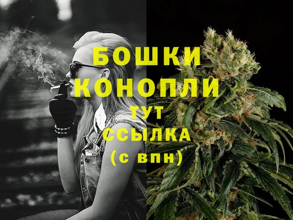 тгк Бронницы