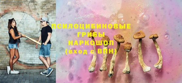 прущая мука Бородино